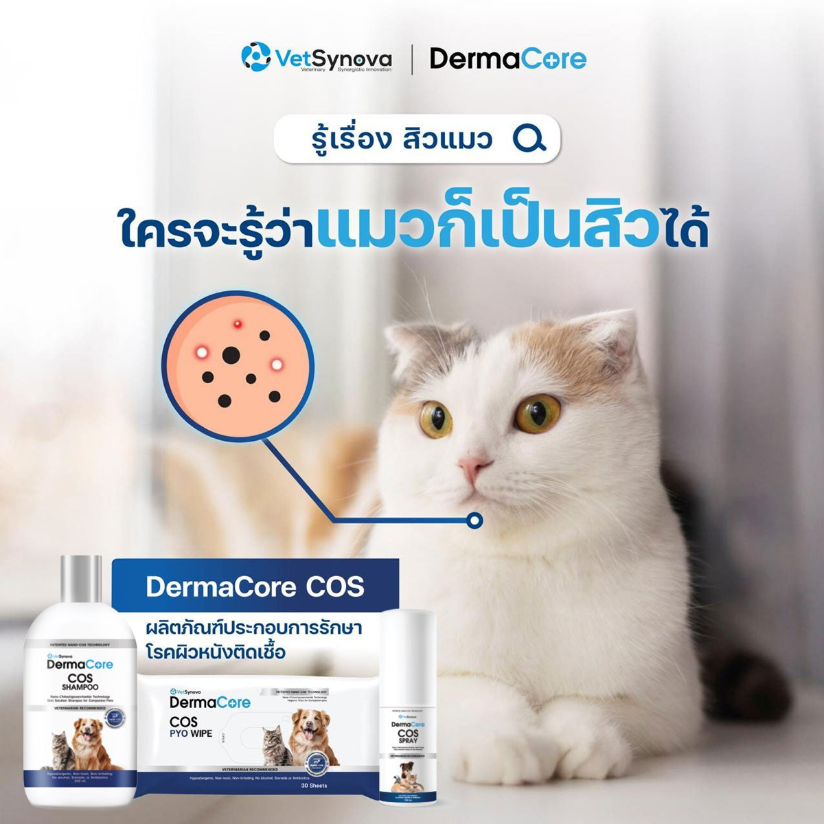 Dermacore COS Wipe ผ้าเปียกสำหรับสัตว์เลี้ยง จำนวน 30 แผ่น
