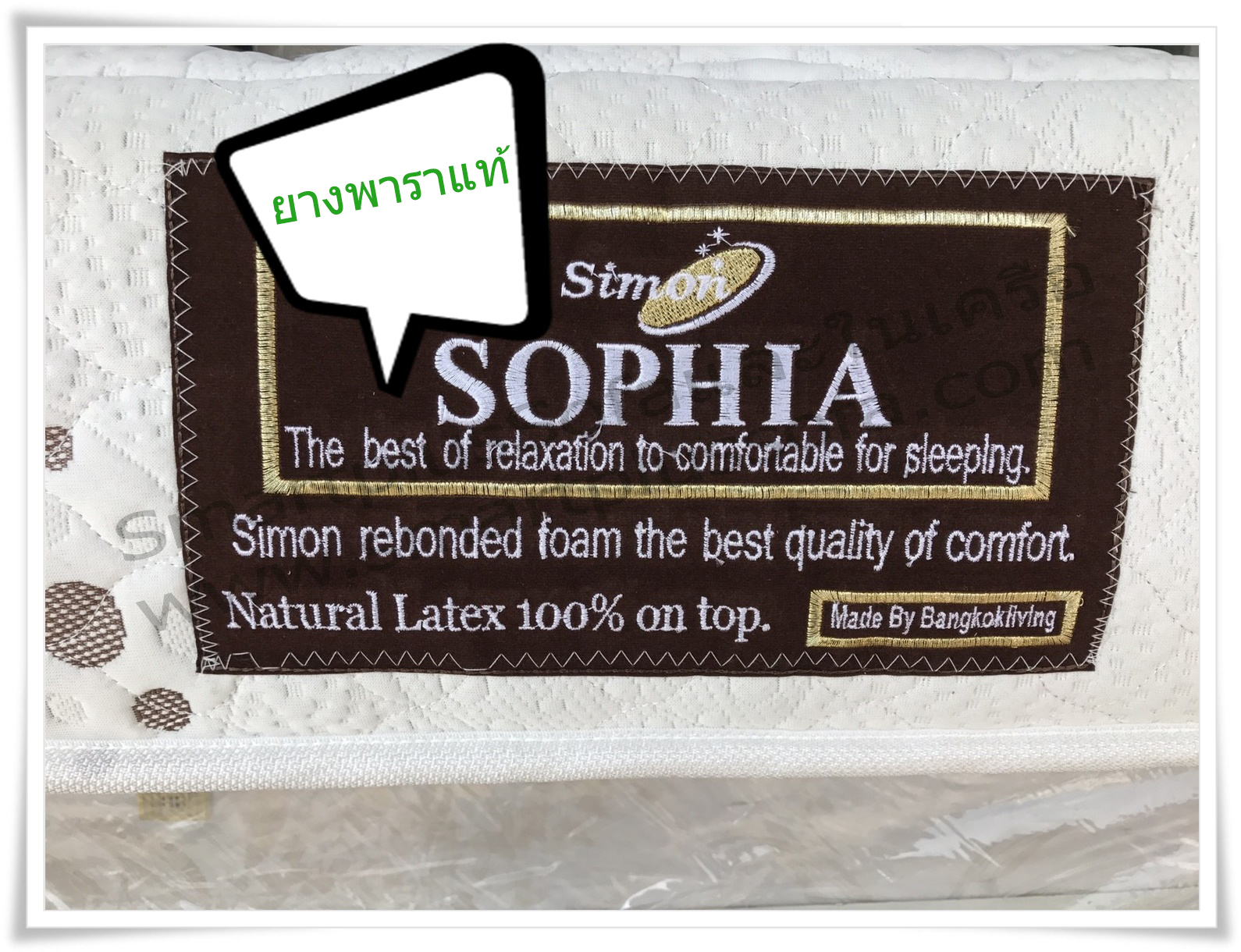 Sophia