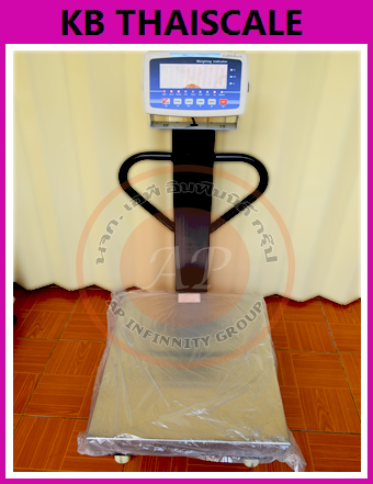 เครื่องชั่งดิจิตอลแบบมีล้อพร้อมราวกันตก ตาชั่งดิจิตอลแบบมีล้อ เครื่องชั่งดิจิตอลแบบมีล้อ 300 กิโลกรัม อ่านค่าความละเอียด 20 กรัม (0.02กิโลกรัม) ขนาดแท่นชั่ง 50x60cm. ยี่ห้อ LOCOSC รุ่น LP7553