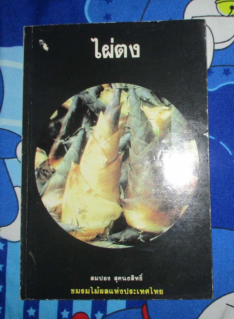 หนังสือ ไผ่ตง
