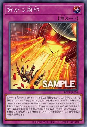 POTE-JP070 Branded Separation