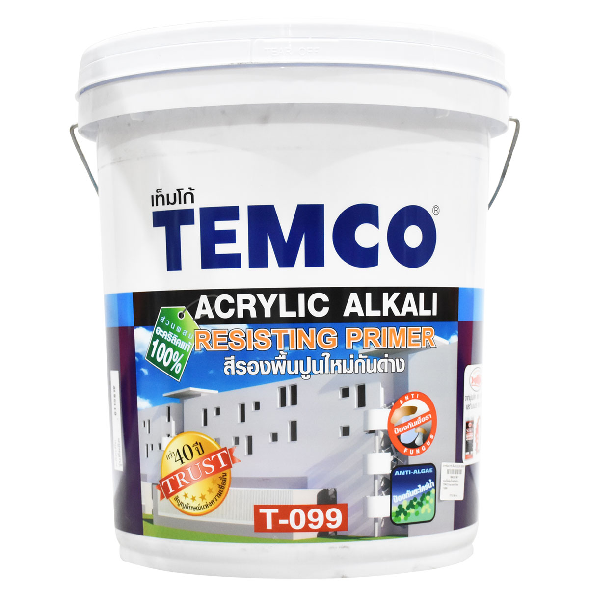 TEMCO รองพื้นปูนใหม่กันด่าง T-099 (18ลิตร)