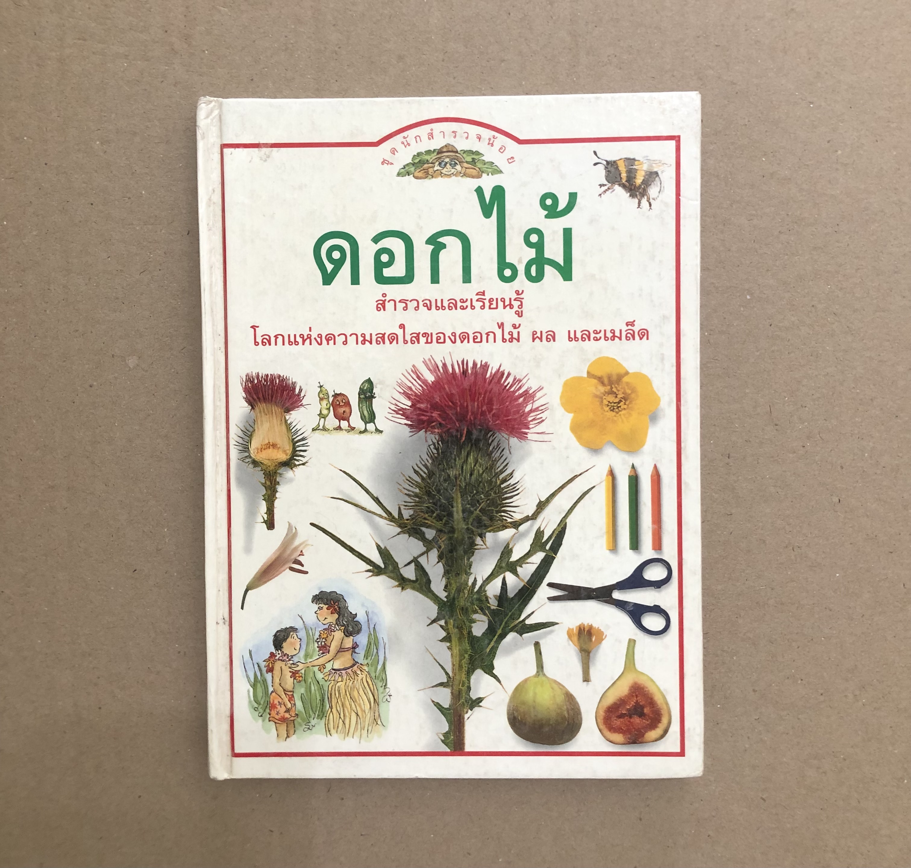 ดอกไม้