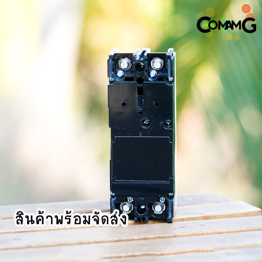 CT Electric เบรกเกอร์ โมเคสเมนเบรกเกอร์ 2เฟส No Fuse Breaker