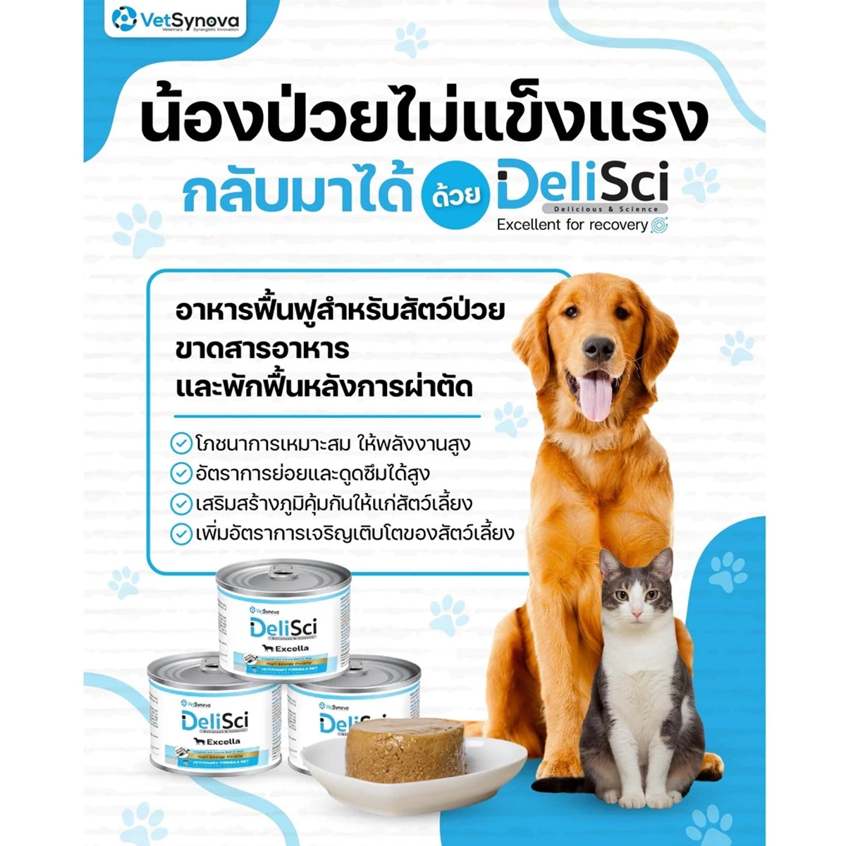 DeliSci : Excella อาหารฟื้นฟูสําหรับสัตว์ป่วย ขาดสารอาหาร และพักฟื้นหลังการผ่าตัด ที่ต้องการพลังงานสูง ขนาด 185g
