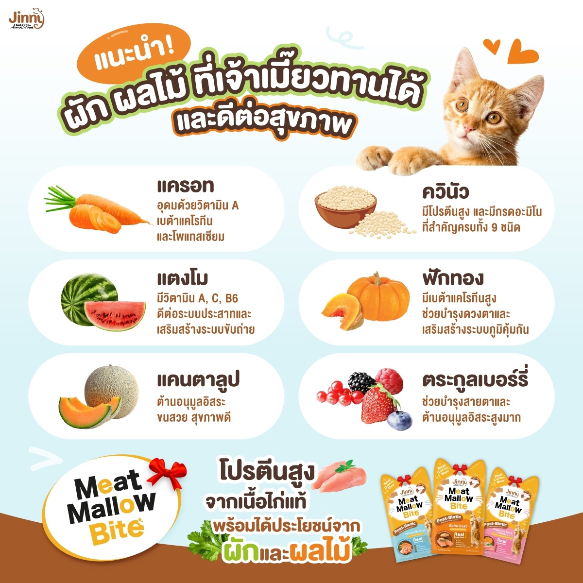 (4ซองราคาพิเศษ) Jinny Meat Mallow Bite จินนี่ มีทแมลโลว์ ไบท์ ขนมสำหรับแมวโต ขนาด 15g