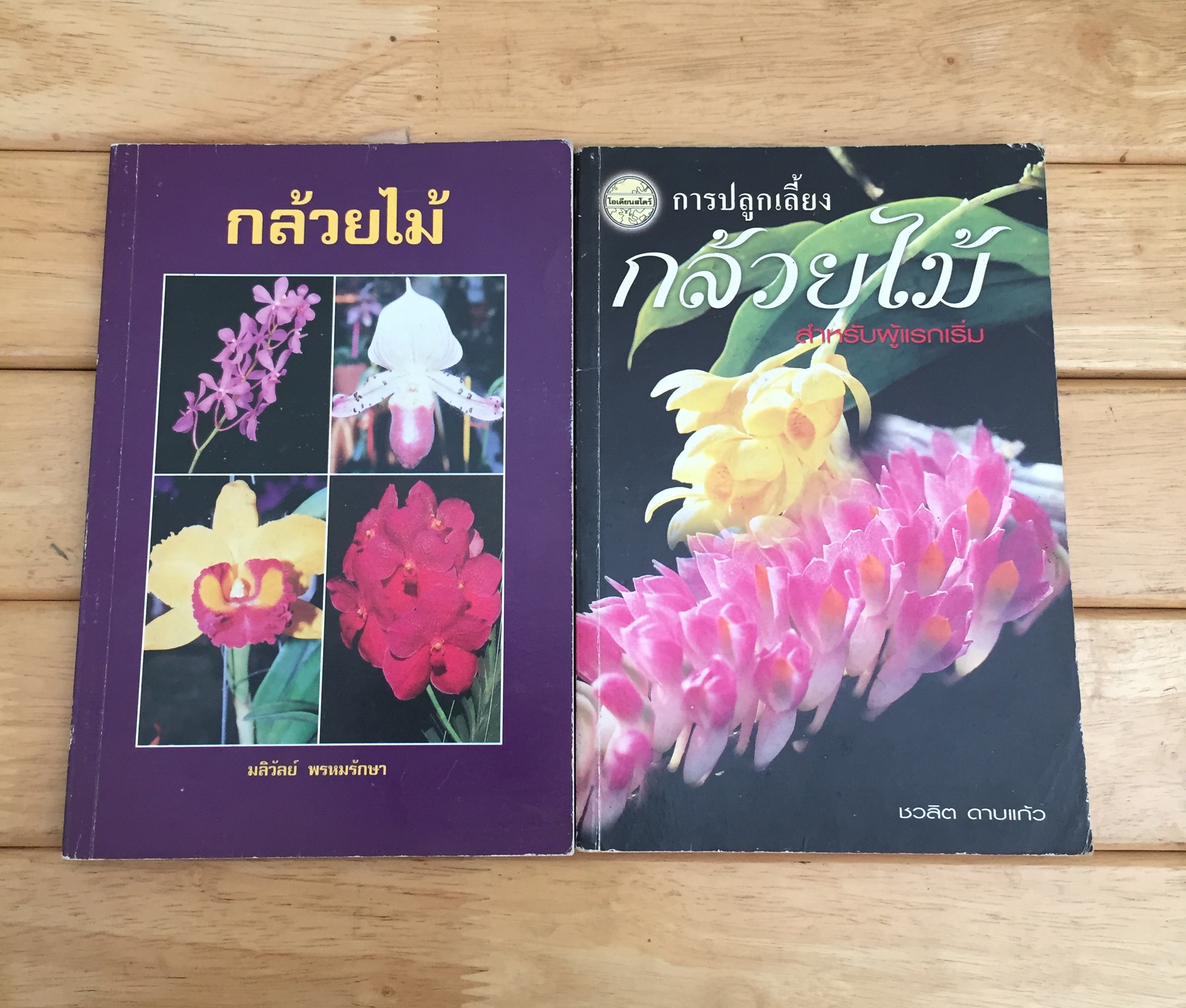 กล้วยไม้ และ การปลูกเลี้ยงกล้วยไม้สำหรับผู้แรกเริ่ม