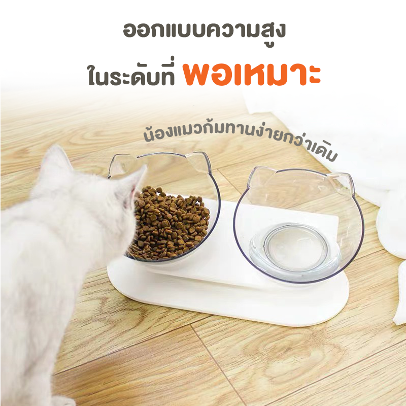 ชุดชามให้อาหารแมว แบบเอียง 15 องศา