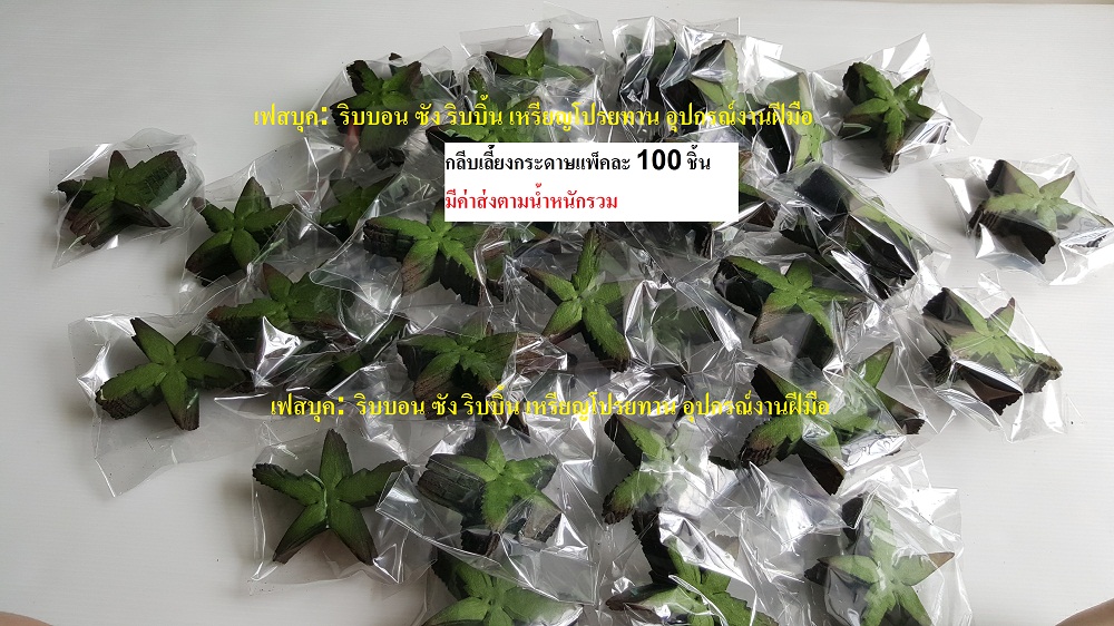 กลีบเลี้ยงกระดาษ กลีบเลี้ยงกุหลาบ กลีบเลี้ยงปลอม กลีบเลี้ยงห้าแฉก กลีบเลี้ยงดาว