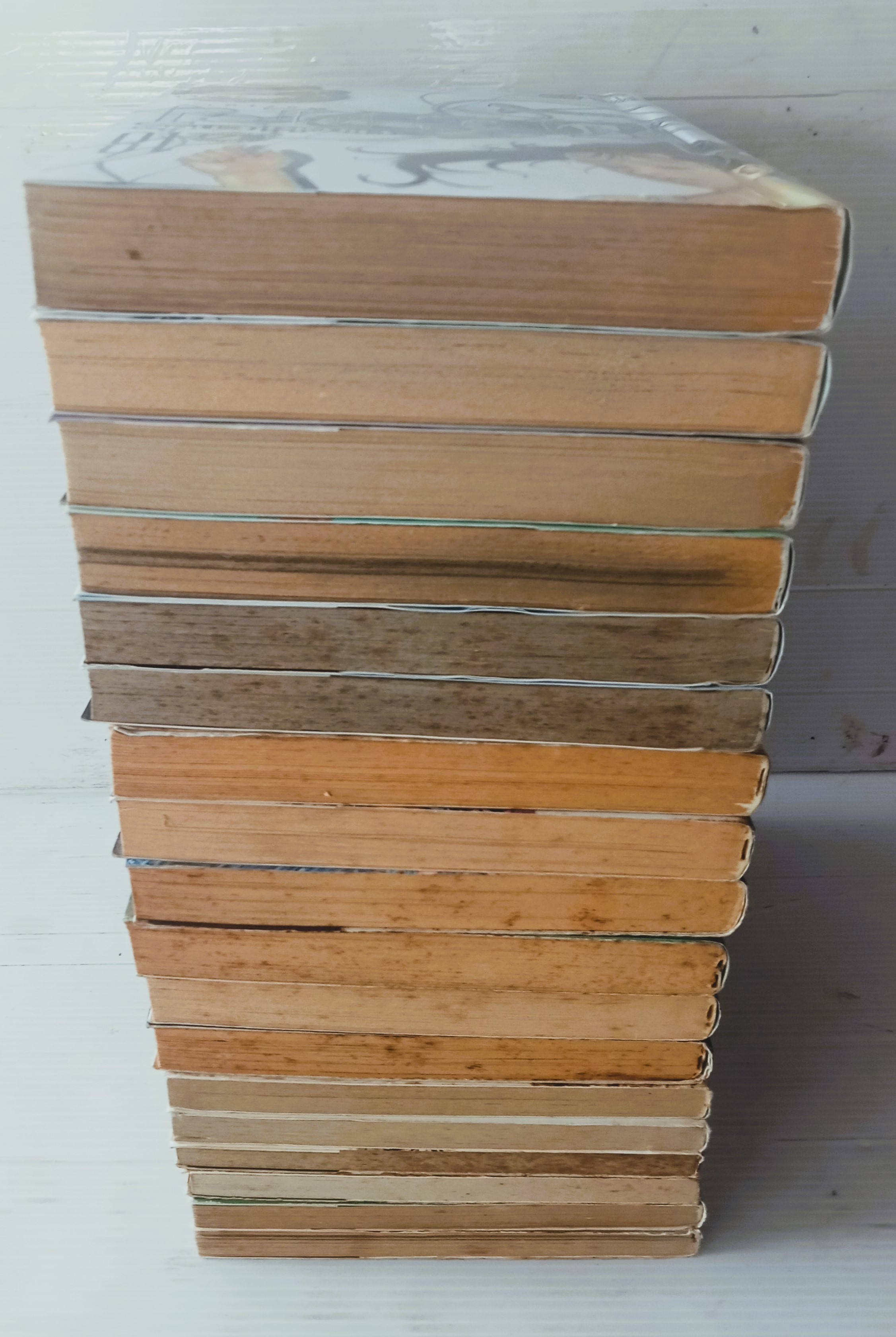 EDEN It's an endless world