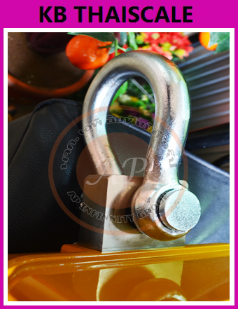 ตาชั่งแขวนดิจิตอล3ตัน ตาชั่งแขวน3000kg เครื่องชั่งดิจิตอลแขวน3000กิโล เครื่องชั่งแบบแขวน3000kg เครื่องชั่งแขวน3000kg ละเอียด1kg ZEPPER SCALE OCS-XZ 3000kg/1kg (ผ่านการตรวจรับรองจากสำนัก ชั่ง ตวง วัด)