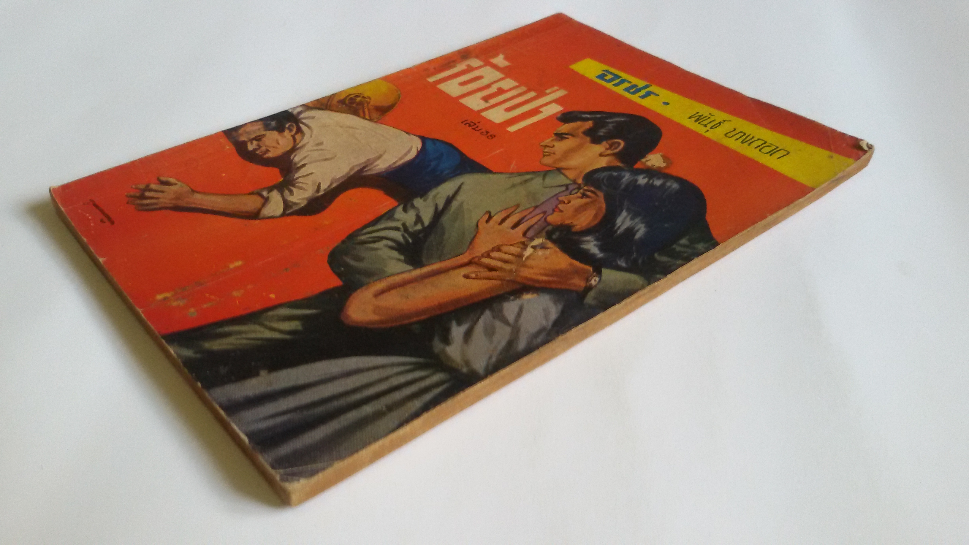 ร้อยป่า เล่ม38