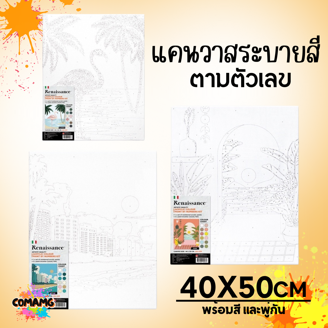 Renaissance ชุดแคนวาส ชุดระบายสีตามเลข Paint by Number Kit Size 40x50 cm. พร้อมส่ง