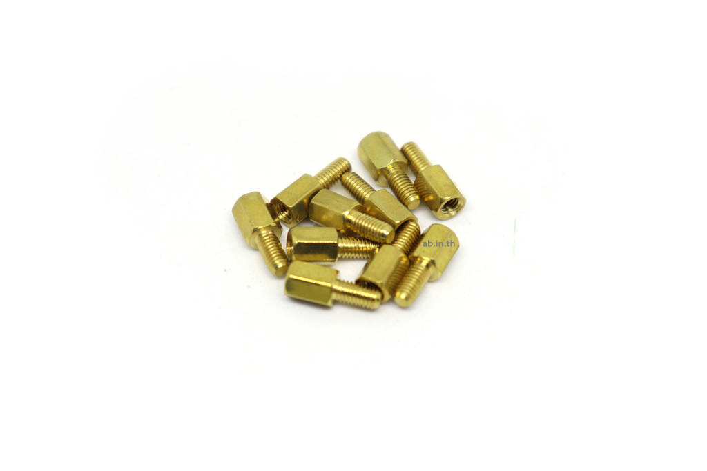 น็อตทองเหลือง M3x6+6mm (10 ชิ้น)