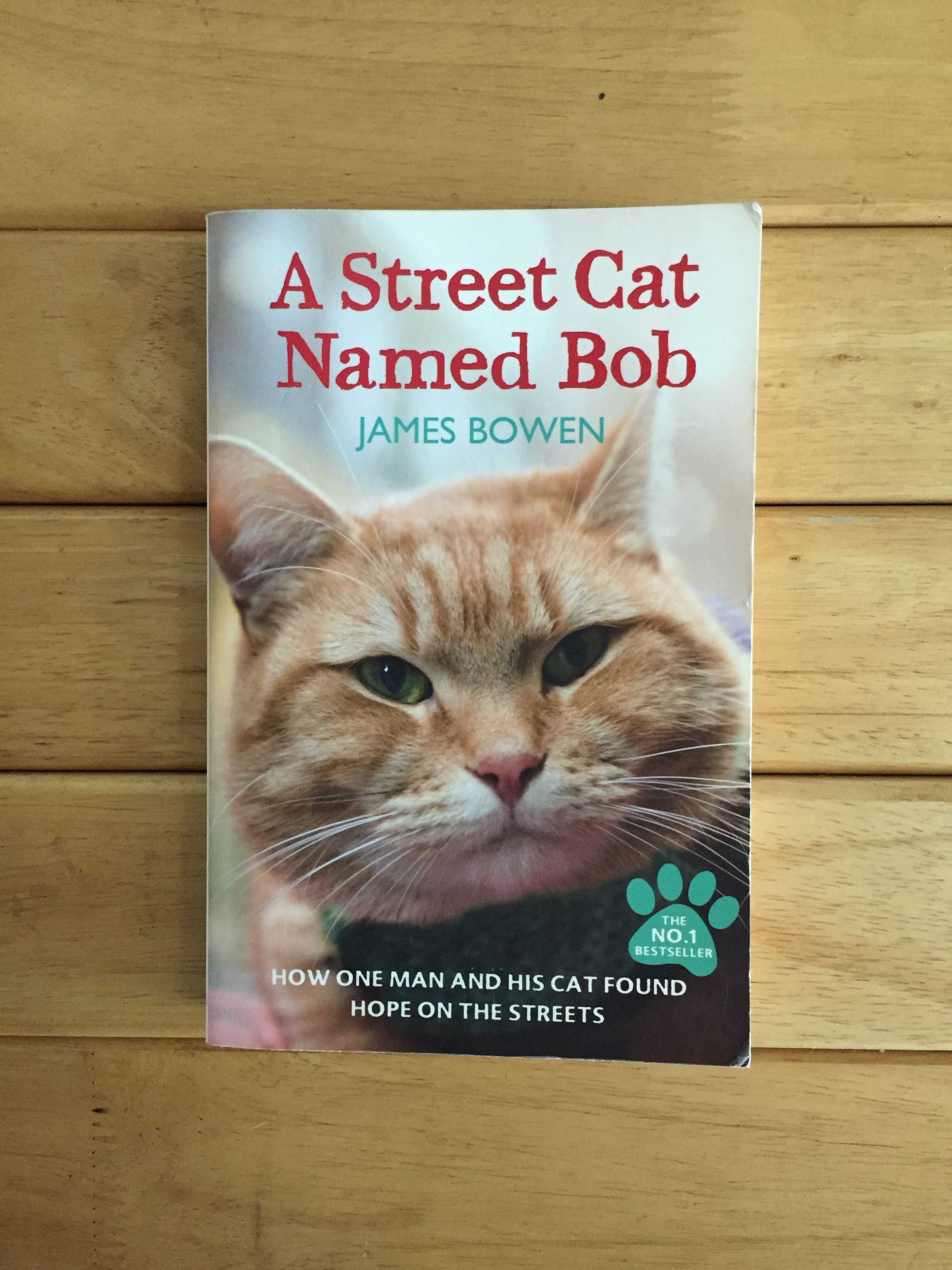 A Street Cat Named Bob