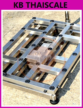 เครื่องชั่งดิจิตอลกันน้ำ เครื่องชั่งน้ำหนัก60กิโล เครื่องชั่งน้ำหนักดิจิตอล60kg ความละเอียด 5g แท่นชั่งขนาด 30x40cm. ยี่ห้อ TSCALE รุ่น BW-S Series