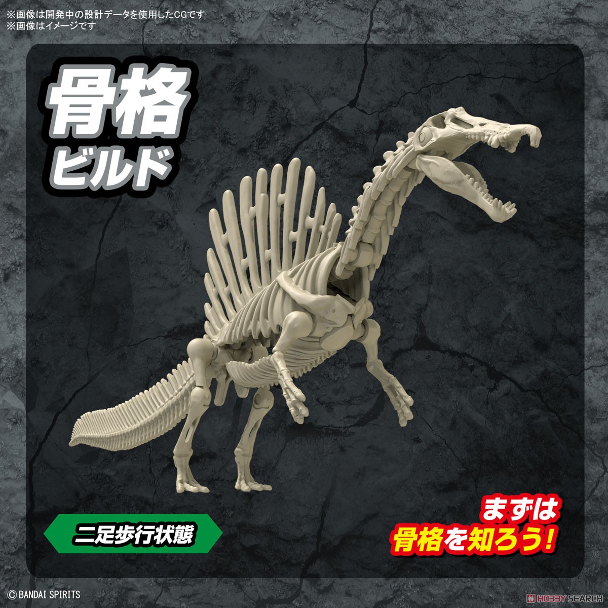 <Preorder ปิดรับวันที่ 2/4/2023> 🔔เปิดรับPreorderไม่ต้ดงมัดจำ Planosaurus Spinosaurus (Plastic model)