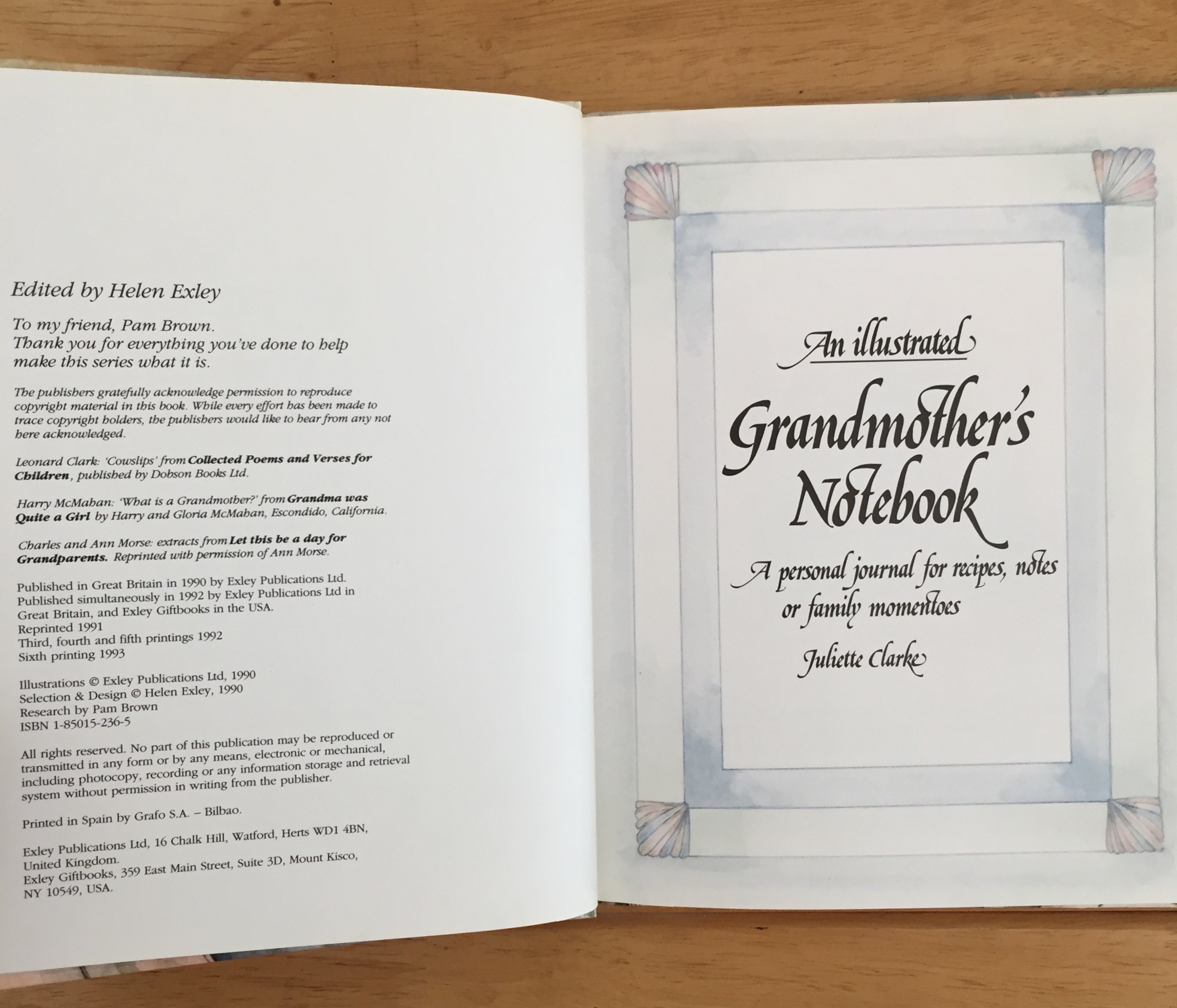 An Illustrated Grandmother's Notebook (Illustrated Notebooks)