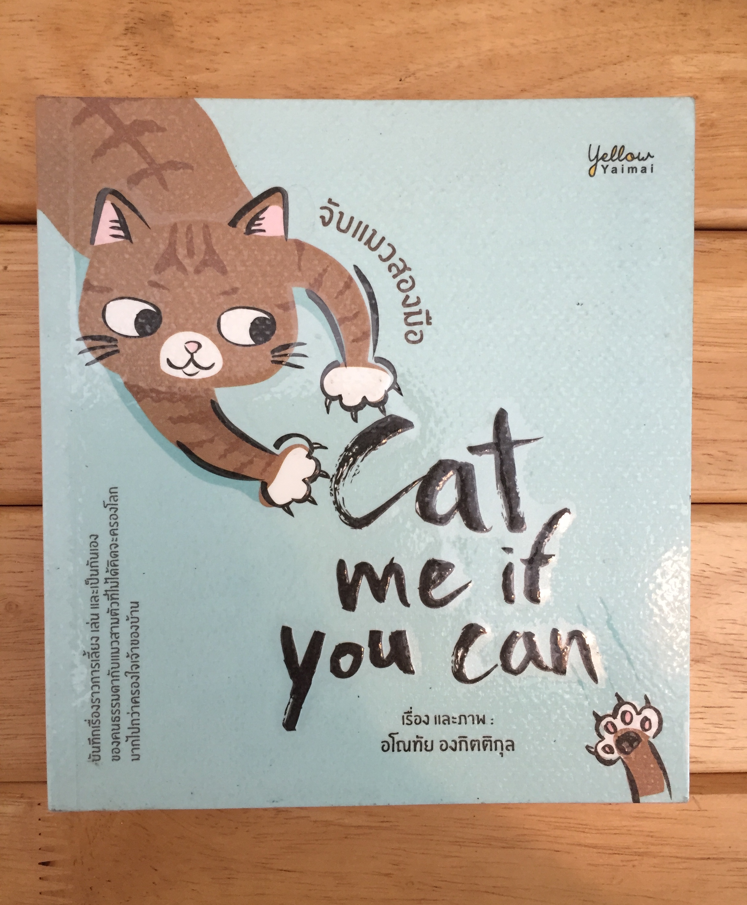 Cat me if you can จับแมวสองมือ