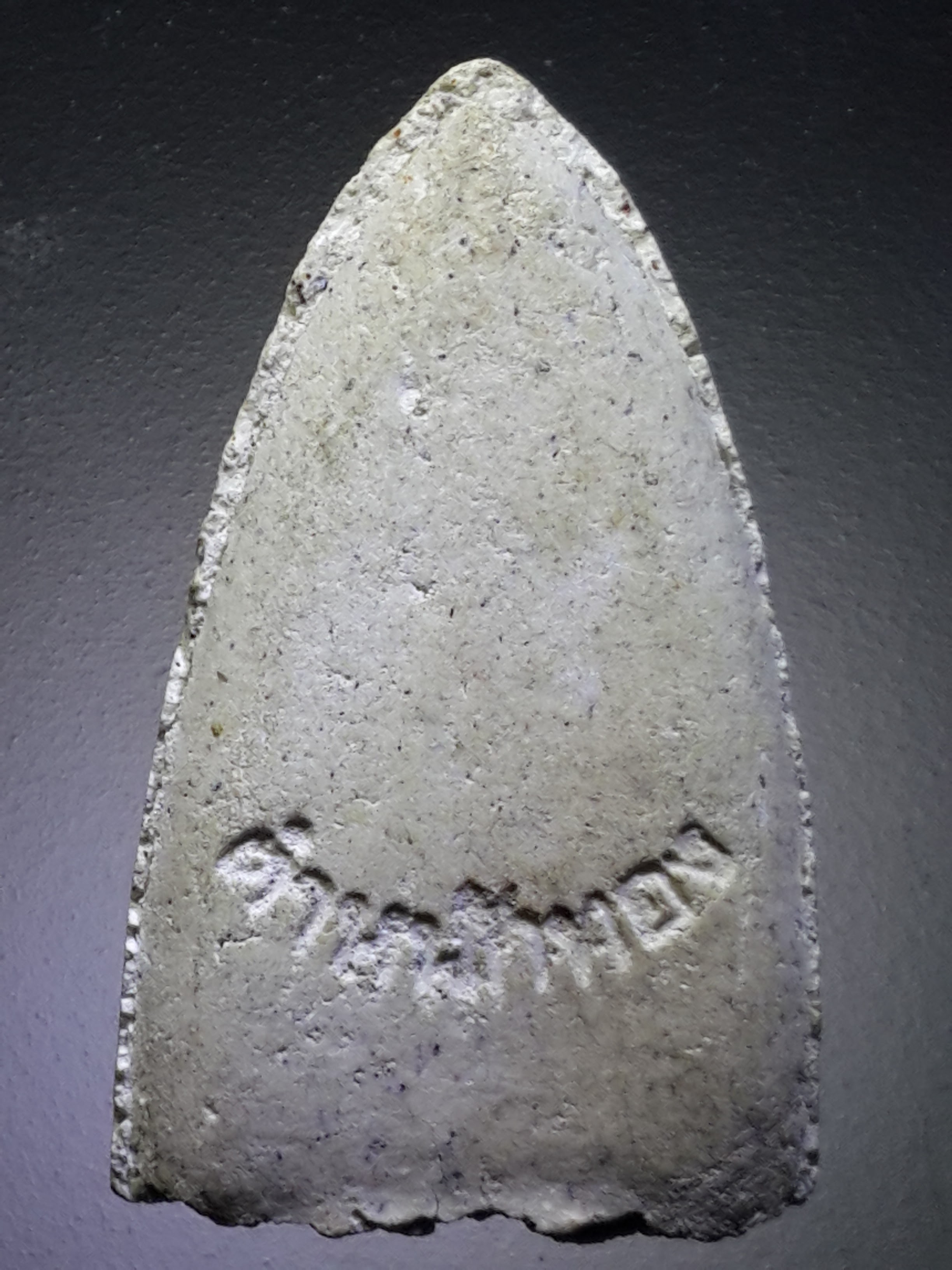 รหัสสินค้า หลวงปู่ทวด วัดต่างๆ 425 หลวงปู่ทวด เนื้อผง ตำหนักทอง