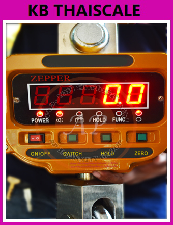 ตาชั่งแขวนดิจิตอล3ตัน ตาชั่งแขวน3000kg เครื่องชั่งดิจิตอลแขวน3000กิโล เครื่องชั่งแบบแขวน3000kg เครื่องชั่งแขวน3000kg ละเอียด1kg ZEPPER SCALE OCS-XZ 3000kg/1kg (ผ่านการตรวจรับรองจากสำนัก ชั่ง ตวง วัด)