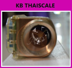 มิเตอร์วัดปริมาณการไหลของน้ำ น้ำมัน 20-120 ลิตรต่อนาที Diesel Fuel Flow Meter