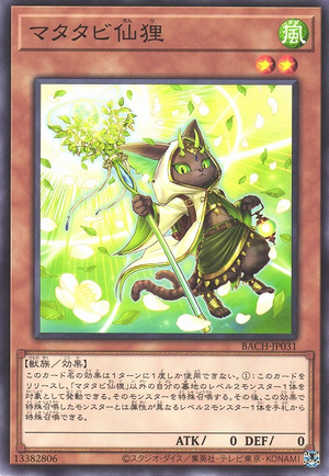 BACH-JP031 Silvervine Senri