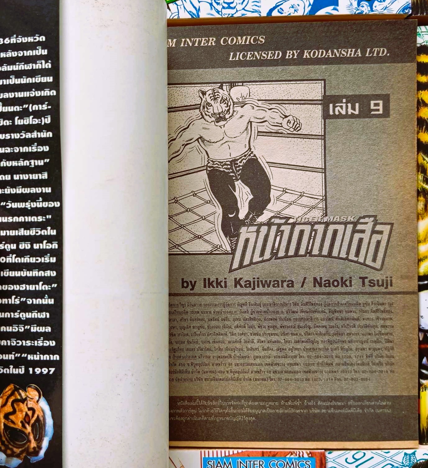 หน้ากากเสือ