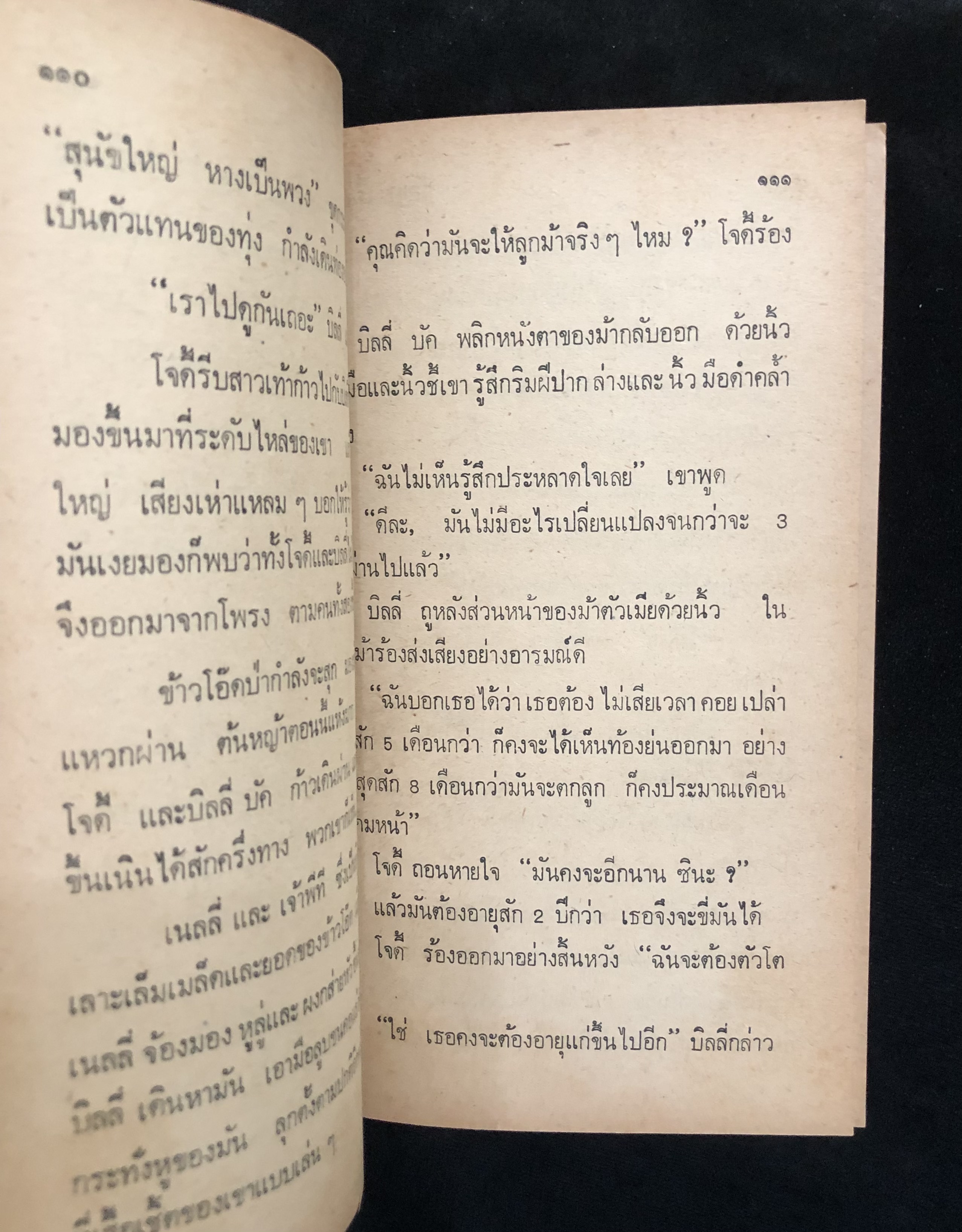 โจดี้
