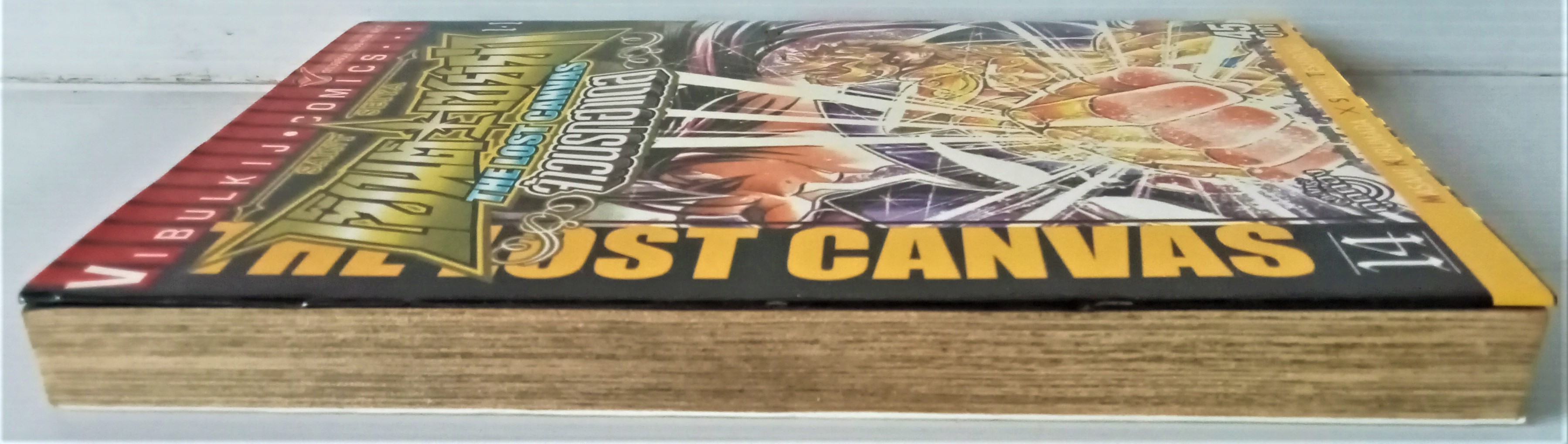 เซ็นเซย่าห์ the lost canvas เล่ม 14