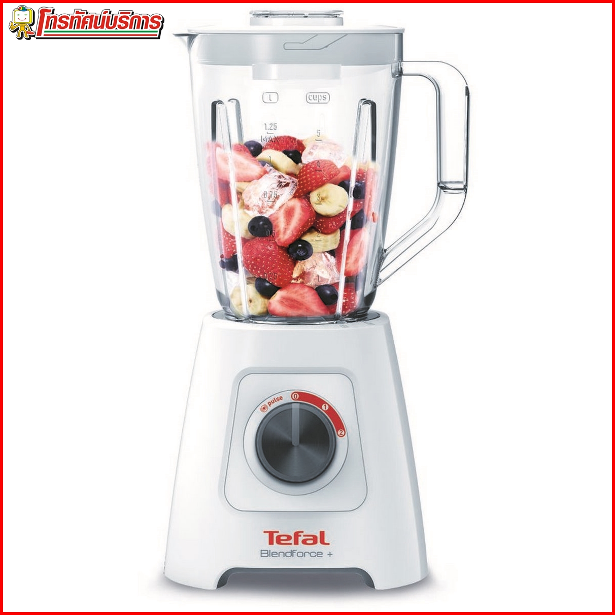 เครื่องปั่นน้ำผลไม้ TEFAL รุ่น BL42S166 ( 600 วัตต์ )