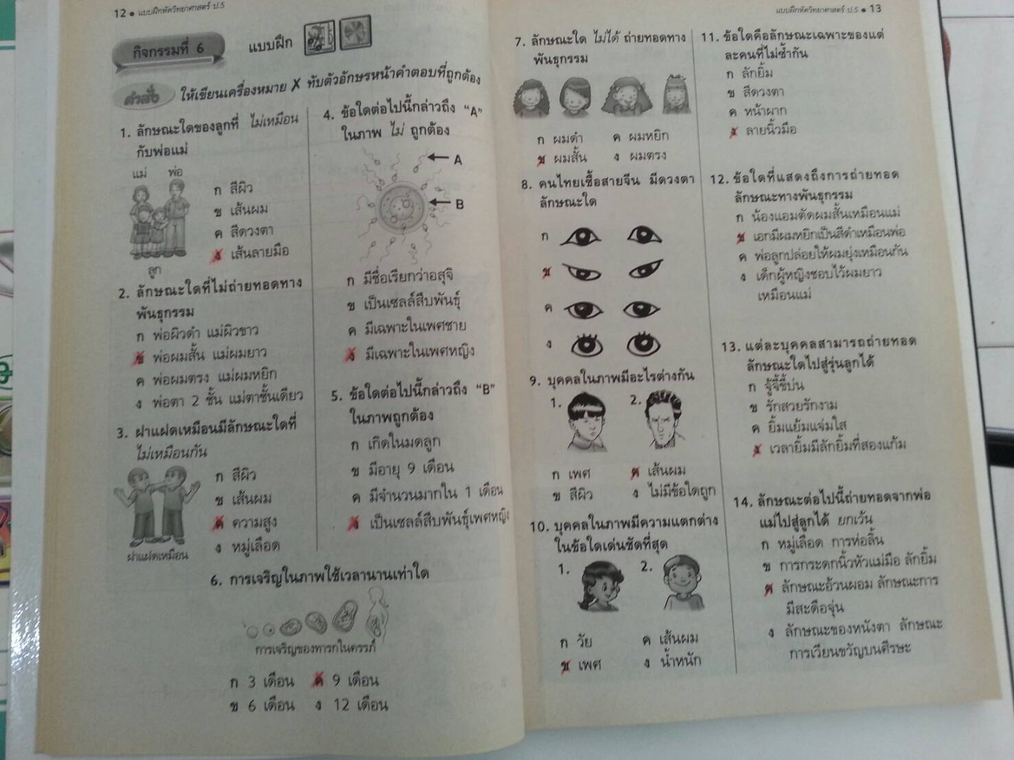 แบบฝึกหัดสาระการเรียนรู้พื้นฐานวิทยาศาสตร์ชั้นประถมศึกษาปีที่ 5 พร้อมเล่มเฉลย(คู่มือครู) สำนักพิมพ์ วพ