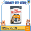 Royal Canin Intense Beauty in Jelly โรยัล คานิน แมวโต เพื่อดูแลสุขภาพผิวหนังและเส้นขน