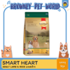 SmartHeart GOLD ADULT LAMB & RICE (โตแกะ&ข้าว)