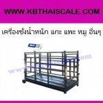 เครื่องชั่งสัตว์ เครื่องชั่งสัตว์เลี้ยง เครื่องชั่งน้ำหนักสัตว์ เครื่องชั่งน้ำหนักแกะ แพะ หมู รุ่น WQ2-B Medium ยี่ห้อ e-Accura