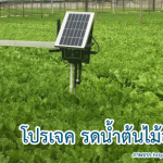 โปรเจคเครื่องรดน้ำต้นไม้อัตโนมัติ ด้วย Arduino ราคาถูก พร้อม Code ตัวอย่าง