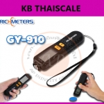 เครื่องวัดความหนาสี RICHMETERS GY910 เครื่องวัดความหนาของฟิล์มสีดิจิตอลเครื่องทดสอบ Fe Nfe Calibrate Film