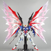 Destiny & LightWing