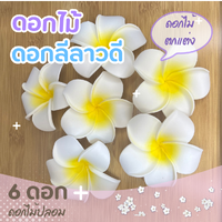 6 ดอก