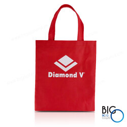กระเป๋าสั่งทำ กระเป๋าสปันบอนด์ Diamond V