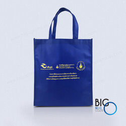 โครงการศึกษาแนวทางการพัฒนาการบริหารจัดการฯ. สนข.