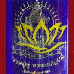 เหรียญ ลาภ ผล พูน ทวี หลวงปู่ดู่ พรหมปัญโญ วัดสะแก อยุธยา (ลุ้นเนื้อ)