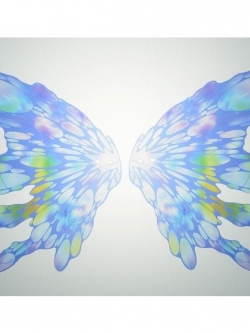 <ปิดรับพรีออร์เดอร์ที่ 6 คิว> มัดจำ 300 บาท*เฉพาะพาสปีก* P-bandai MG 1/100 Expansion Effect Unit ”Moonlight Butterfly” for ∀ Gundam