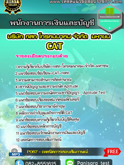 แนวข้อสอบพนักงานการเงินและบัญชี กสท CAT