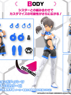 <Preorder ถึงวันที่1/1/2023 > 🔔เปิดรับPreorder ไม่ต้องมัดจำ 30MS Option Body Parts Type A03 [Color C]