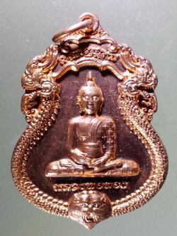 Antig Pim 181 เหรียญ รุ่นแรก พระพุทธหลวงพ่อทอง วัดพืชนิมิต อำเภอคลองหลวง จังหวัดปทุมธานี สร้างปี 2546