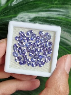 แทนซาไนท์ไข่ 6x4mm. 15.70 กะรัต 1 ชุด