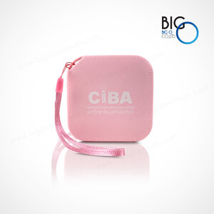 วิทยาลัยบริหารธุรกิจนวัตกรรมและการบัญชี (CIBA DPU)