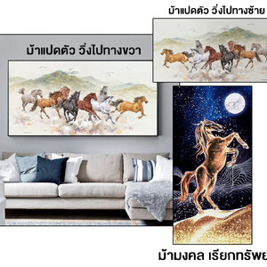 ติดรูปม้าในบ้าน ตรงไหนดี