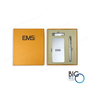 บริษัท อีเอ็มเอส คอนซัลแตนท์ จำกัด